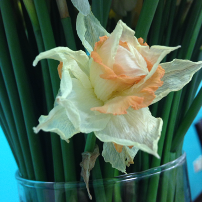 Profile avatar image for Lyricsexplode