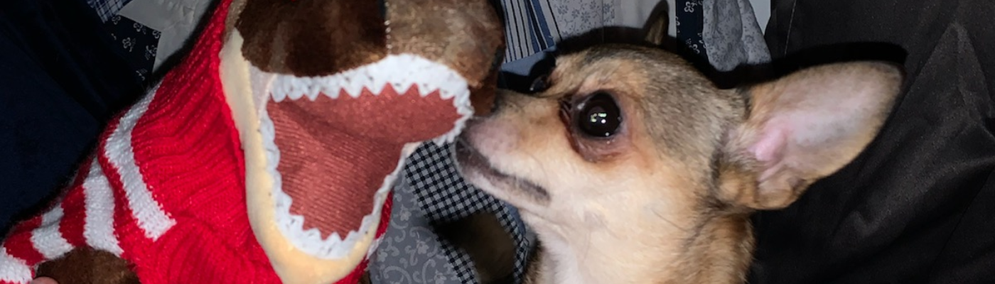 Profile banner image for NinjaRubante