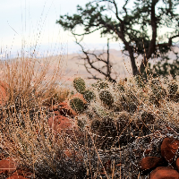 Profile avatar image for OkayOkay