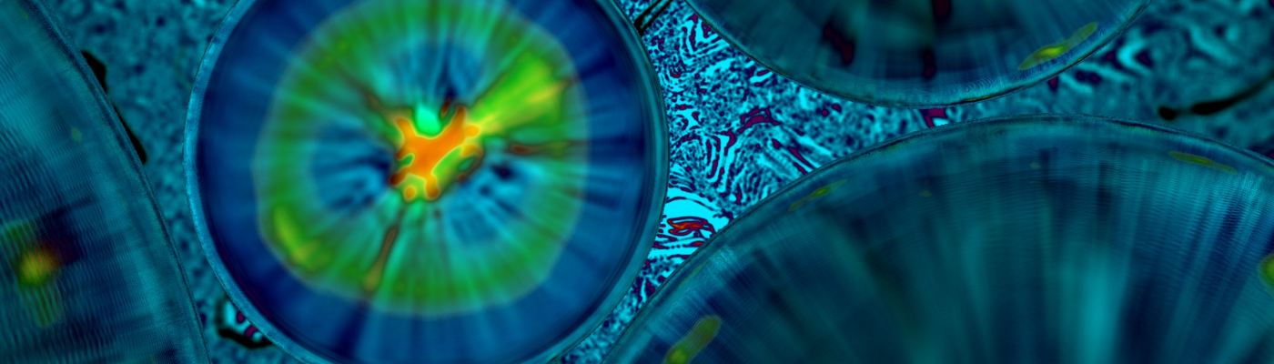 Profile banner image for Erilivion