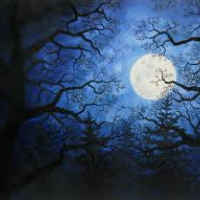 Profile avatar image for MidnightWriter