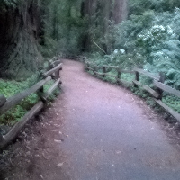 Profile avatar image for KijaniSchubert