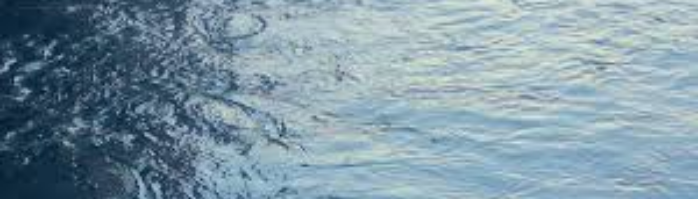 Profile banner image for Vee