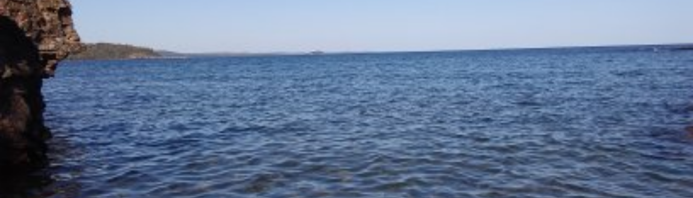 Profile banner image for GlassDragonfly