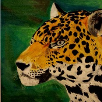 Profile avatar image for Griffrider