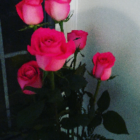 Profile avatar image for CharlieRogers