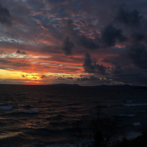 Profile avatar image for Beach_Baby