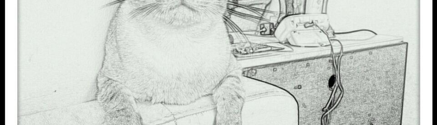 Profile banner image for Pagesfragensage