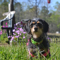 Profile avatar image for GeckTheGeek