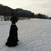 Profile avatar image for kasey