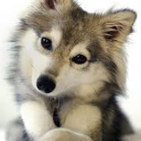 Profile avatar image for Storiesbyme