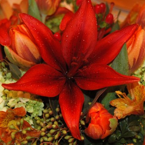 Profile avatar image for nonzerospin