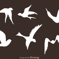 Profile avatar image for jingle_jangle