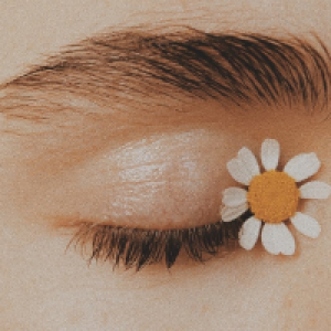 Profile avatar image for lostAlice