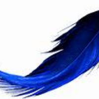 Profile avatar image for Brandy