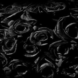 Profile avatar image for EBRose12