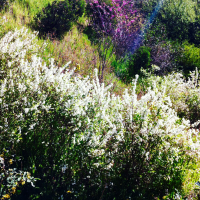 Profile avatar image for MrSquishy