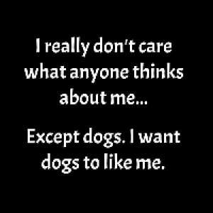 Profile avatar image for BrandeisBlue