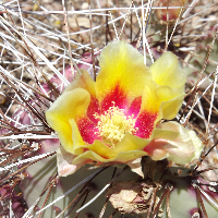 Profile avatar image for cece_marie