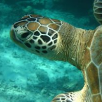 Profile avatar image for GoodMrJ