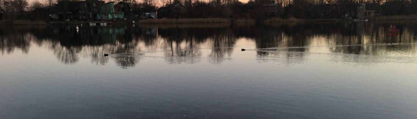 Profile banner image for gemenim