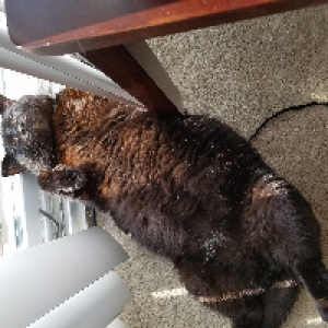 Profile avatar image for Bakerwrites