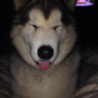 Profile avatar image for Lolly