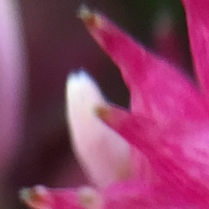 Profile avatar image for IvyBee