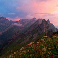 Profile avatar image for carm_saff