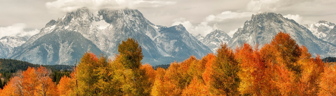 Profile banner image for LilacMaroon