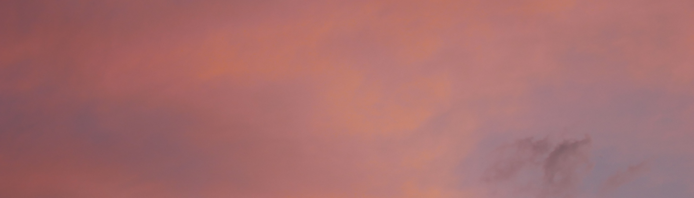 Profile banner image for paintedlady