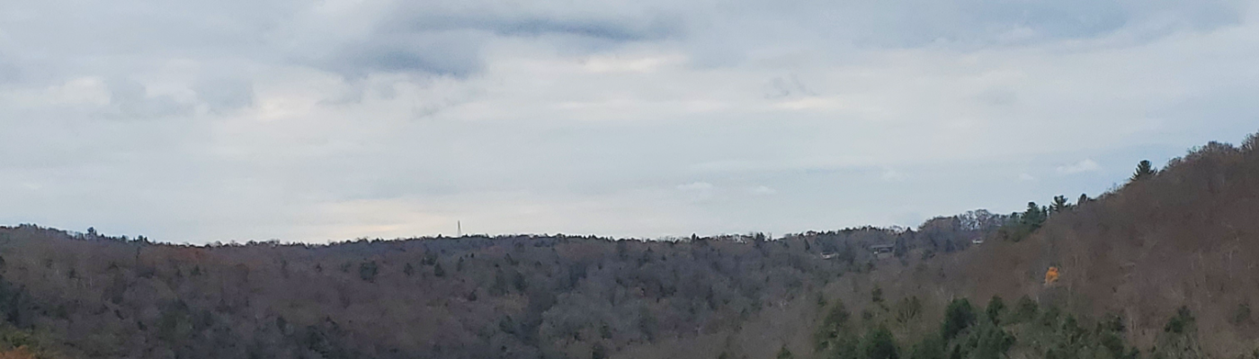 Profile banner image for MaquisLeader