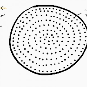 Profile avatar image for able_may