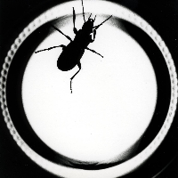 Profile avatar image for LEHertel