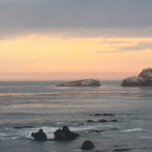 Profile avatar image for WandertoBreathe