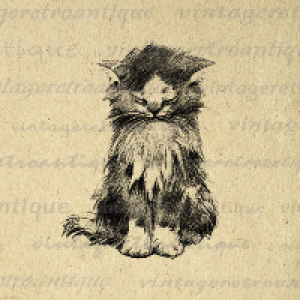 Profile avatar image for aqwadiver