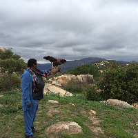 Profile avatar image for nkstainedwretch