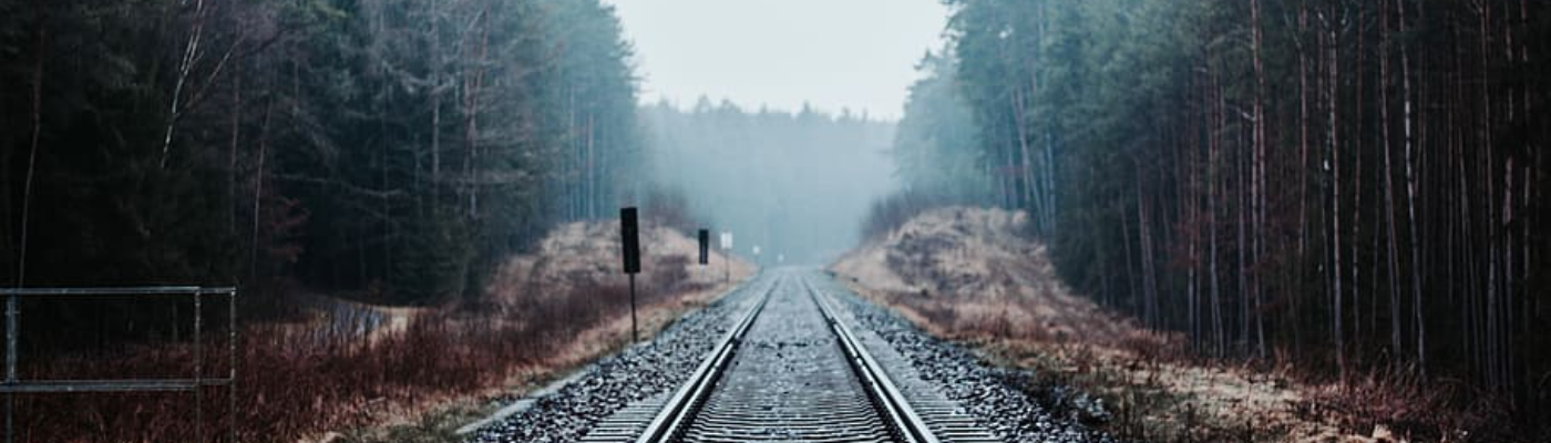 Profile banner image for ROGUE