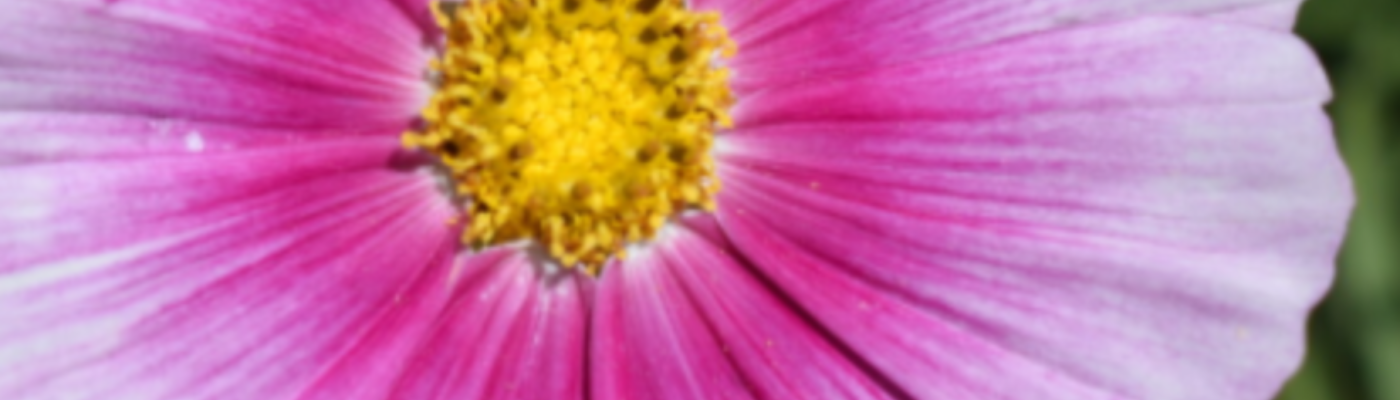 Profile banner image for Slayhermike