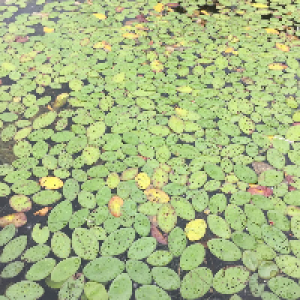 Profile avatar image for jmagurk