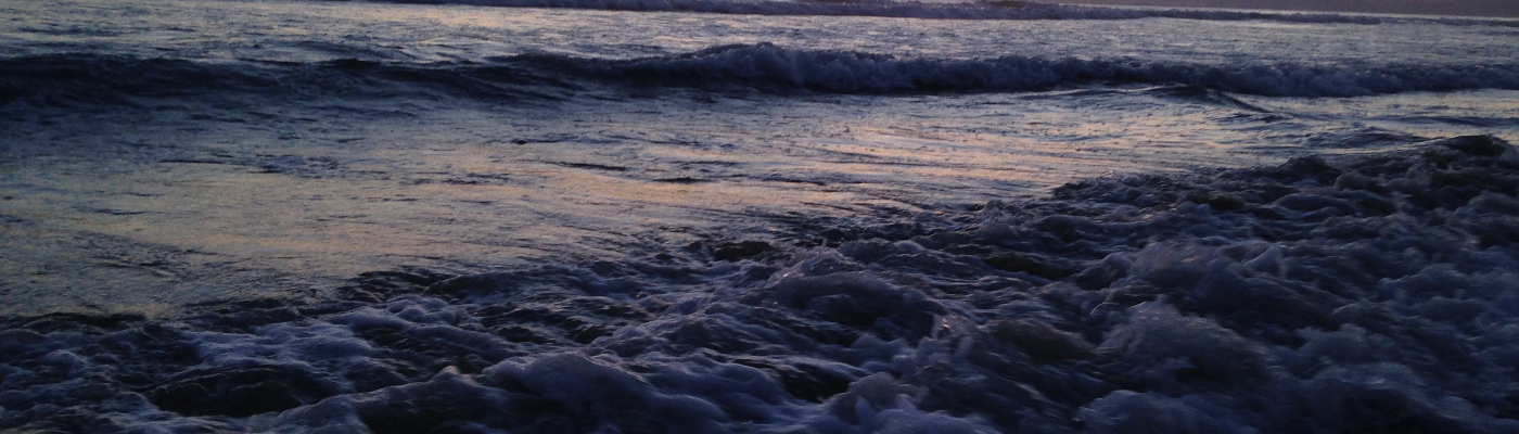 Profile banner image for AmandaPhoenix