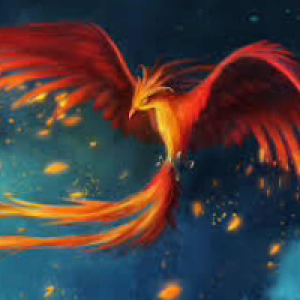 Profile avatar image for AmandaPhoenix