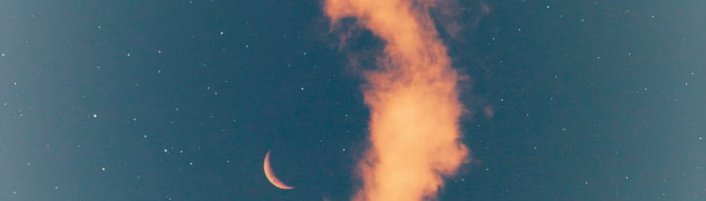 Profile banner image for anarosewood