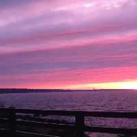 Profile avatar image for Hipster_Artist