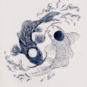 Profile avatar image for Moonkoii