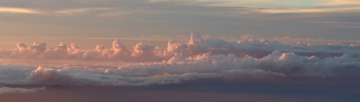 Profile banner image for WanderingWillow