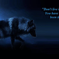 Profile avatar image for wolfjo16