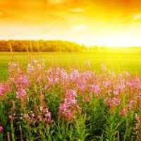 Profile avatar image for caulet