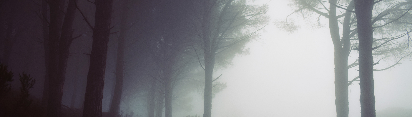 Profile banner image for pennywithaney