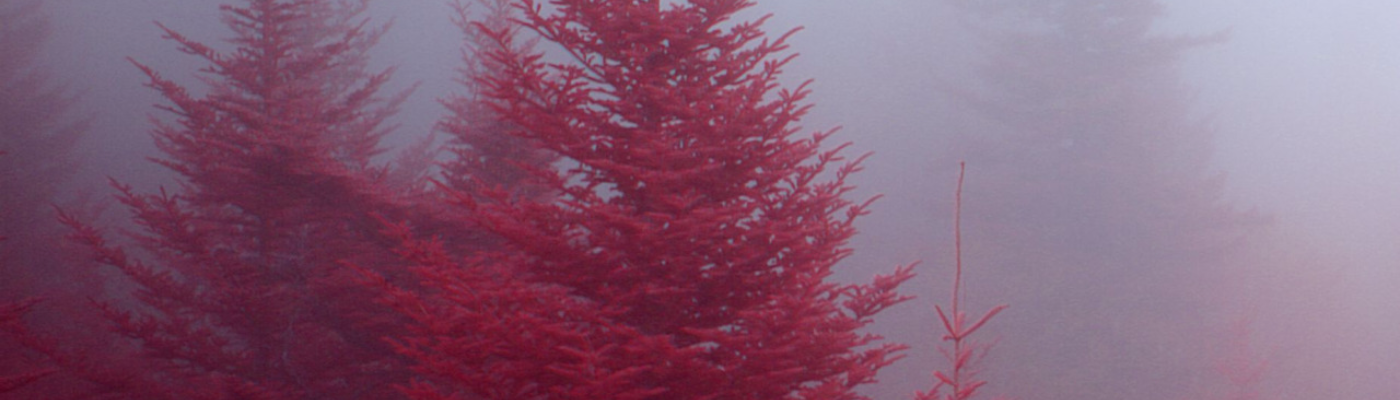 Profile banner image for ughshootme